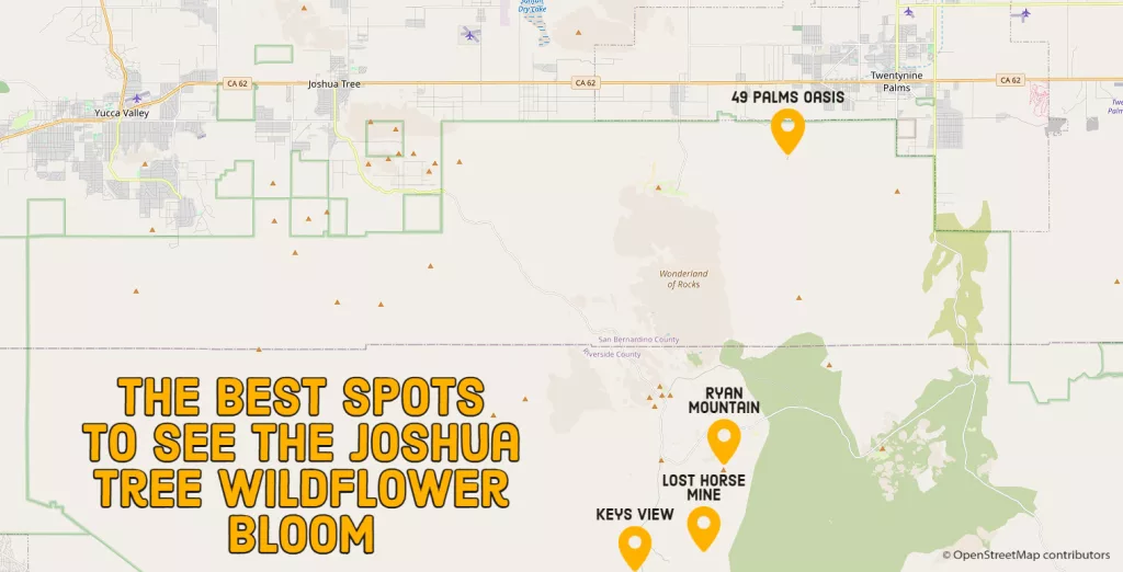 joshua tree flowers map