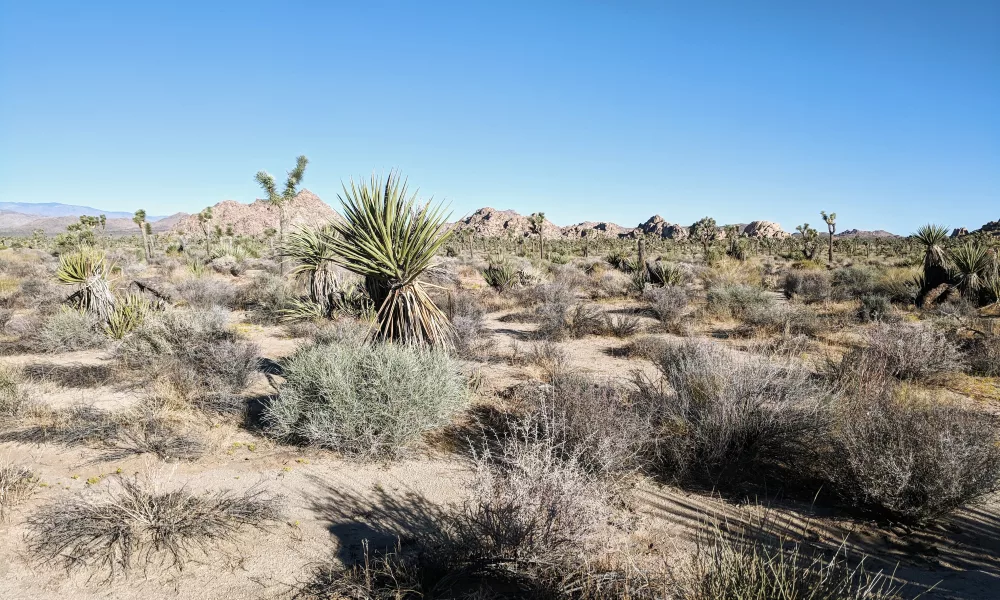 How to Stay Hydrated and Safe While Hiking in the Desert