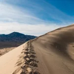 Discovering the Best Time to Camp in Mojave National Preserve