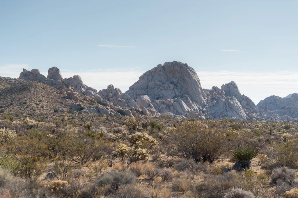 What is the Best Time of Year to Camp in Mojave?