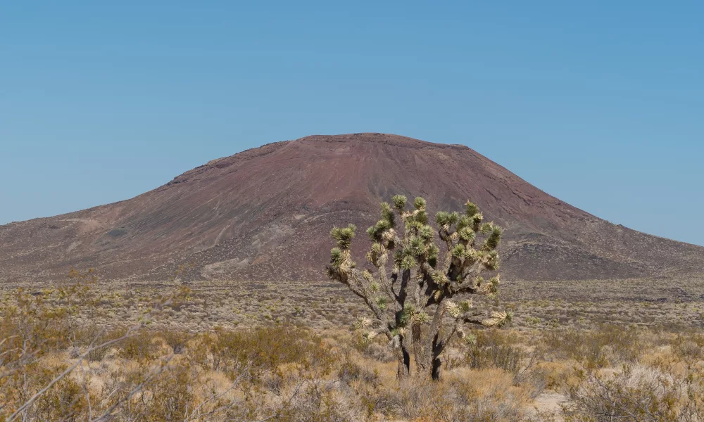 where is the mojave desert located