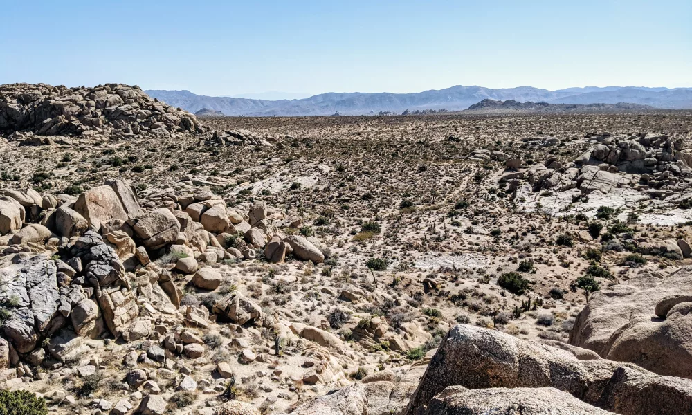 Hiking in the Mojave Desert: Tips for Staying Safe