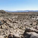 Hiking in the Mojave Desert: Tips for Staying Safe