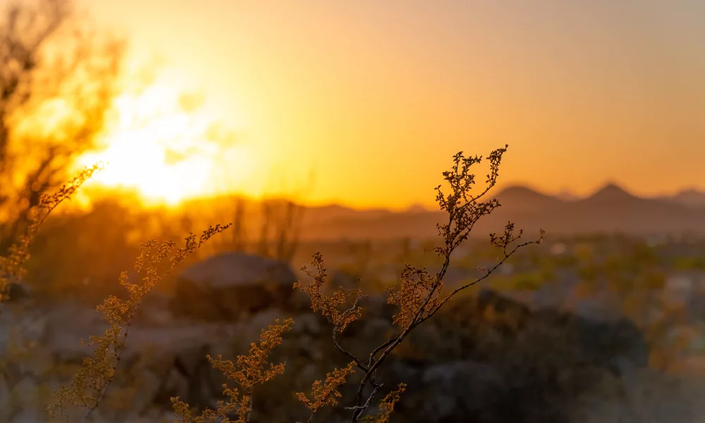 The Best Places to Watch the Sunset in Death Valley (With Tips)