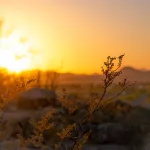 The Best Places to Watch the Sunset in Death Valley (With Tips)